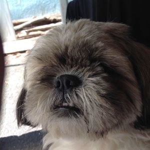 Meet your Posher, Diego